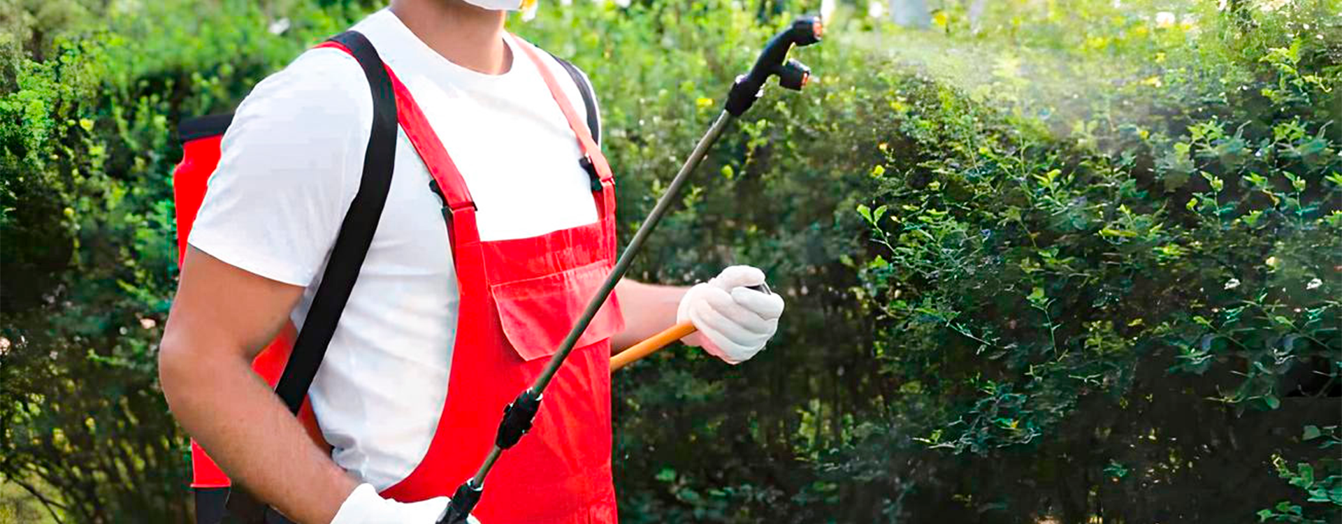 Pulverizador manual práctico y resistente, ideal para la aplicación eficiente de fertilizantes y agroquímicos en cultivos y jardines. Fácil de usar y transportar.